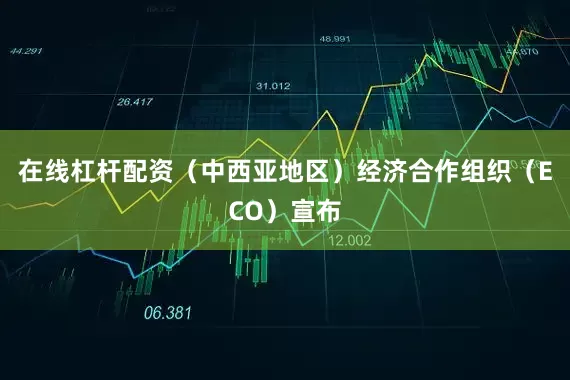 在线杠杆配资（中西亚地区）经济合作组织（ECO）宣布