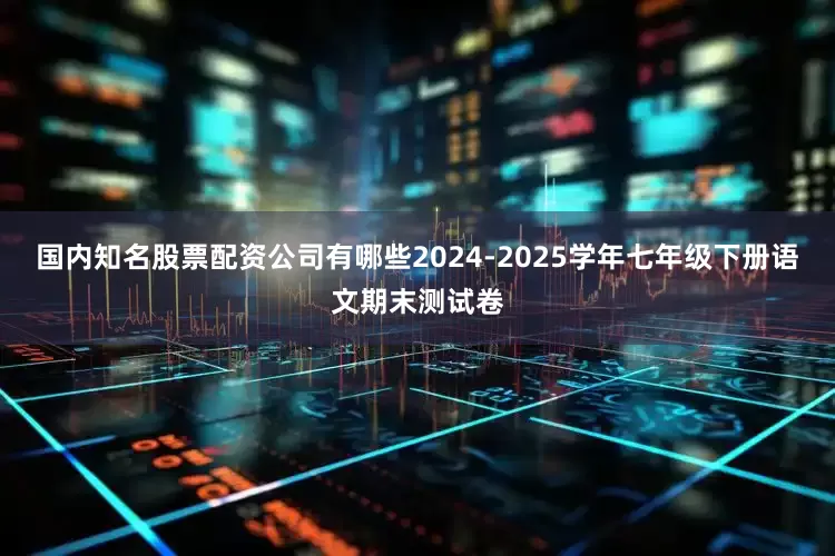 国内知名股票配资公司有哪些2024-2025学年七年级下册语文期末测试卷