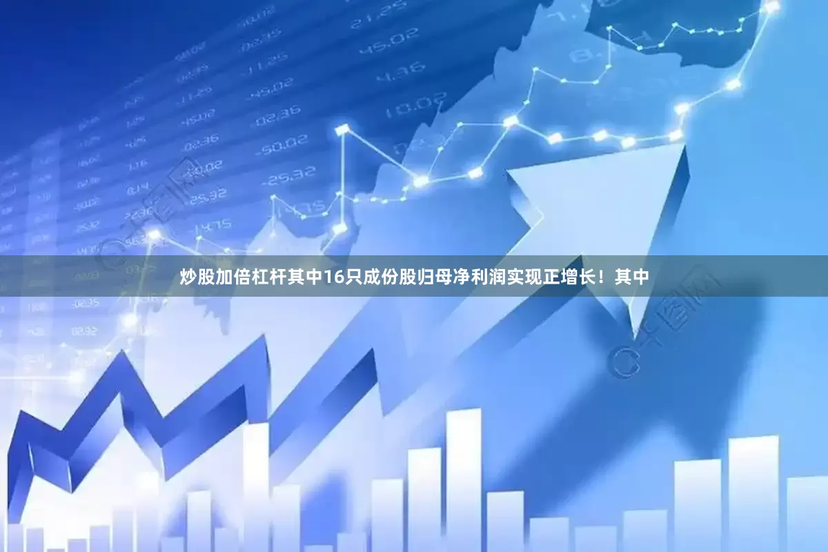 炒股加倍杠杆其中16只成份股归母净利润实现正增长！其中