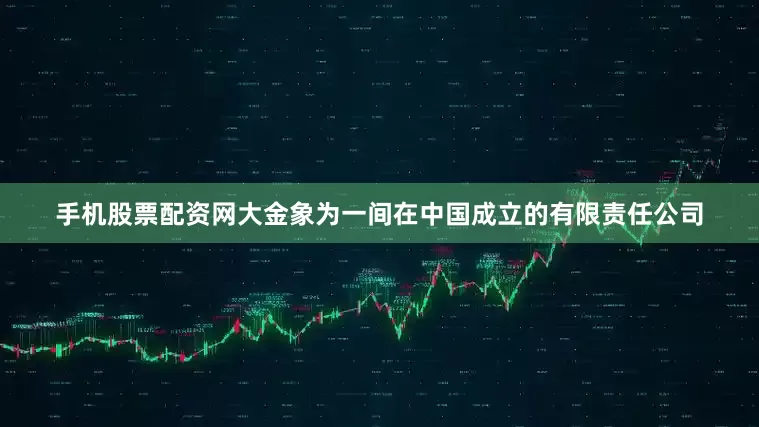 手机股票配资网　　大金象为一间在中国成立的有限责任公司