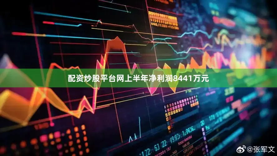 配资炒股平台网上半年净利润8441万元