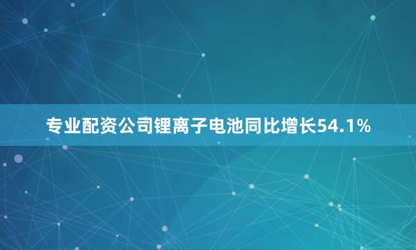 专业配资公司锂离子电池同比增长54.1%
