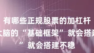 有哪些正规股票的加杠杆平台大脑的 “基础框架” 就会搭建不稳