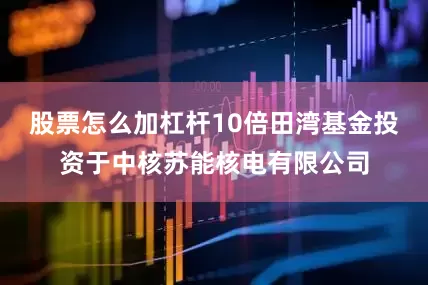 股票怎么加杠杆10倍田湾基金投资于中核苏能核电有限公司